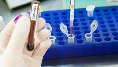 Donatori h24, фото - Новости Zakon.kz от 14.03.2020 17:37