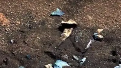 Zakon.kz, фото - Новости Zakon.kz от 28.06.2017 22:06