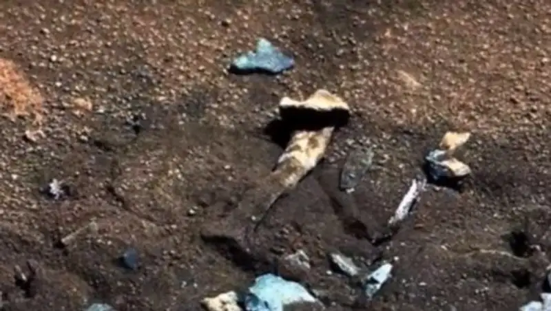 Останки инопланетянина найдены на Марсе