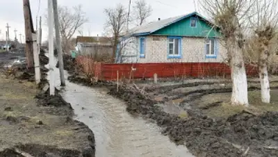 Zakon.kz, фото - Новости Zakon.kz от 14.04.2016 13:31