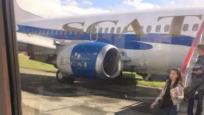 соцсети, фото - Новости Zakon.kz от 03.06.2018 20:04