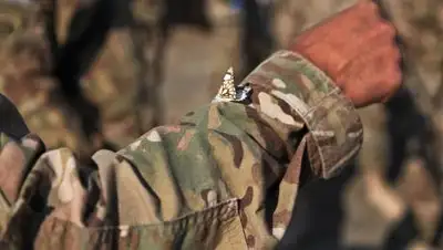 PxHere, фото - Новости Zakon.kz от 22.08.2021 15:29