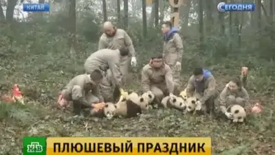 Zakon.kz, фото - Новости Zakon.kz от 13.01.2017 17:04