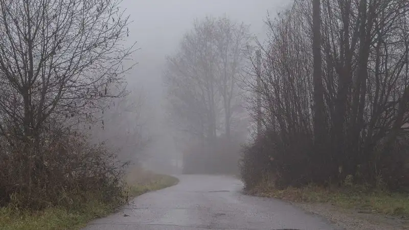 Гроза, сильный ветер и туман ожидаются в Казахстане