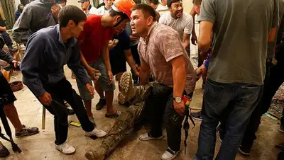 img03.rl0.ru, фото - Новости Zakon.kz от 10.01.2020 09:39