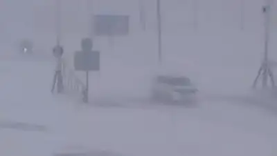 Zakon.kz, фото - Новости Zakon.kz от 16.03.2016 06:35