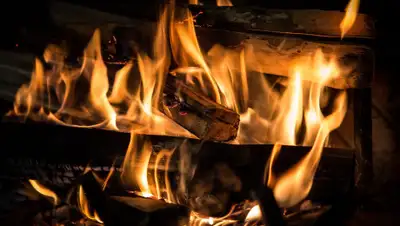 pixabay.com, фото - Новости Zakon.kz от 26.05.2019 16:21