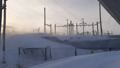 из соцсетей, фото - Новости Zakon.kz от 10.04.2020 22:37