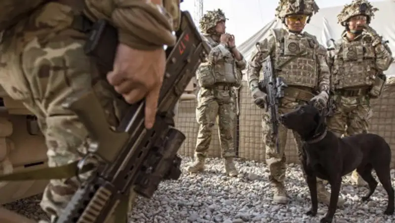 Британия выведет треть войск из Афганистана