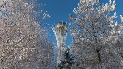 Zakon.kz, фото - Новости Zakon.kz от 12.02.2017 01:00