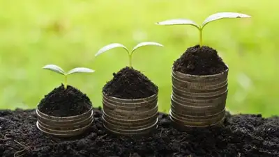 nalogikz.kz, фото - Новости Zakon.kz от 19.03.2019 16:30