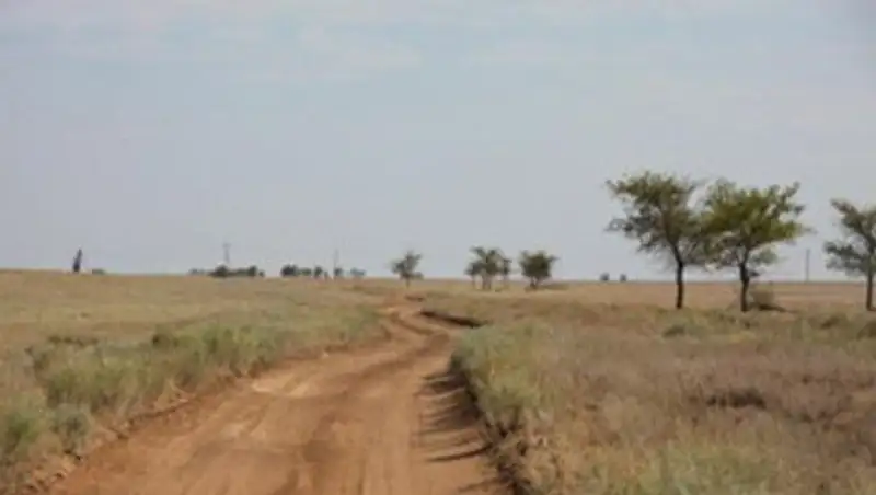 На степной дороге ВКО погиб 66-летний мотоциклист