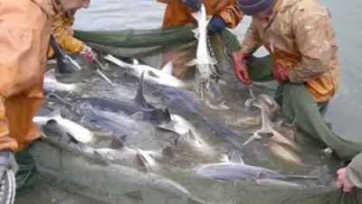 Zakon.kz, фото - Новости Zakon.kz от 27.01.2015 15:05