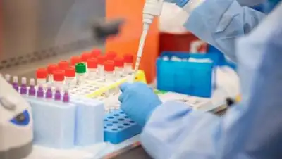 gov.kz, фото - Новости Zakon.kz от 15.06.2021 14:35