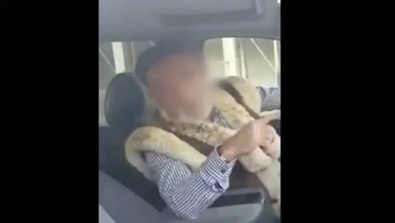 Дерзкого аташку из Туркестанской области могут лишить прав