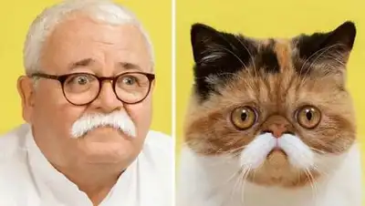 bigpicture.ru, фото - Новости Zakon.kz от 17.10.2020 21:04