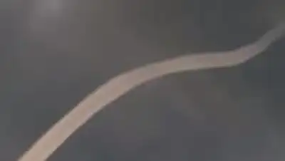 Zakon.kz, фото - Новости Zakon.kz от 05.10.2017 08:36