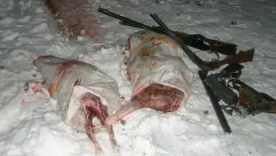 Zakon.kz, фото - Новости Zakon.kz от 03.02.2016 14:02