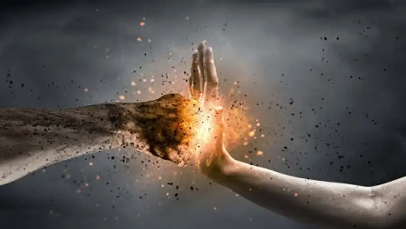 Ученые: "зомби"-паразит кошек может вызывать приступы ярости у людей