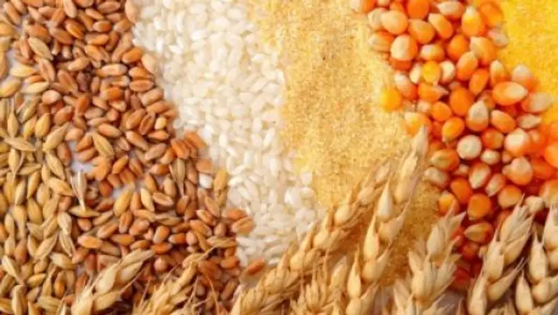 На 17% за год выросло производство круп в Казахстане