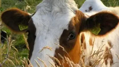 Zakon.kz, фото - Новости Zakon.kz от 04.09.2014 17:05