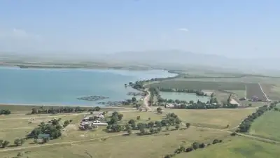 Zakon.kz, фото - Новости Zakon.kz от 05.09.2017 17:16