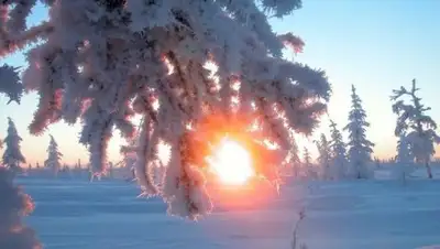 Фото  с сайта tumix.ru, фото - Новости Zakon.kz от 16.12.2017 10:18