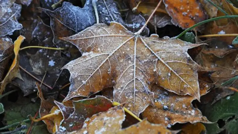 В пятницу на большей территории Казахстана ожидаются осадки