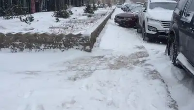 Zakon.kz, фото - Новости Zakon.kz от 17.01.2017 18:45