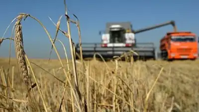 inform.kz, фото - Новости Zakon.kz от 02.10.2018 08:34