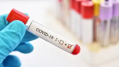 depositphotos, фото - Новости Zakon.kz от 20.09.2020 08:01