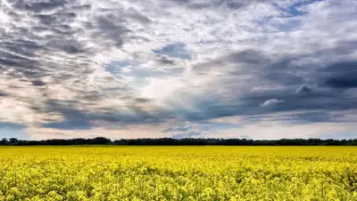 pixnio.com, фото - Новости Zakon.kz от 04.07.2019 09:09