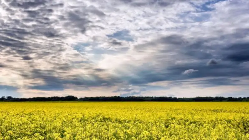 Чего ждать казахстанцам от погоды 4 июля