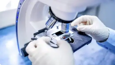 Zakon.kz, фото - Новости Zakon.kz от 17.06.2015 17:28