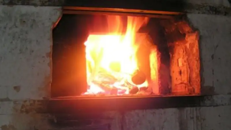 Павлодар облысында екі әйел адам ыстан уланып қалды