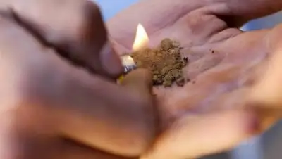 Правда.Ру, фото - Новости Zakon.kz от 29.04.2018 16:33