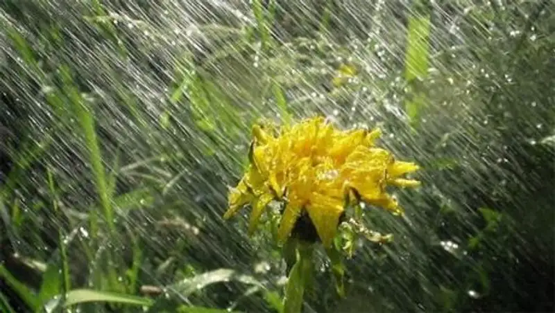 Грозовые дожди пройдут почти на всей территории Казахстана в субботу