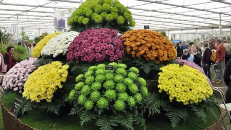 Парки Казахстана хотят сделать зелеными круглый год