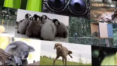 Zakon.kz, фото - Новости Zakon.kz от 20.12.2014 21:32