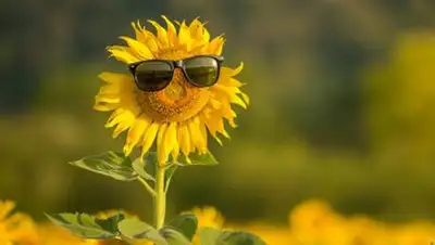 pravda.com.ua, фото - Новости Zakon.kz от 01.07.2021 12:25