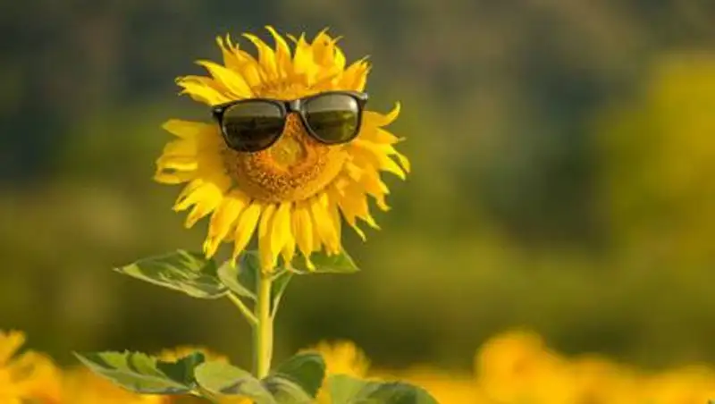 Какая погода ждет казахстанцев в июле