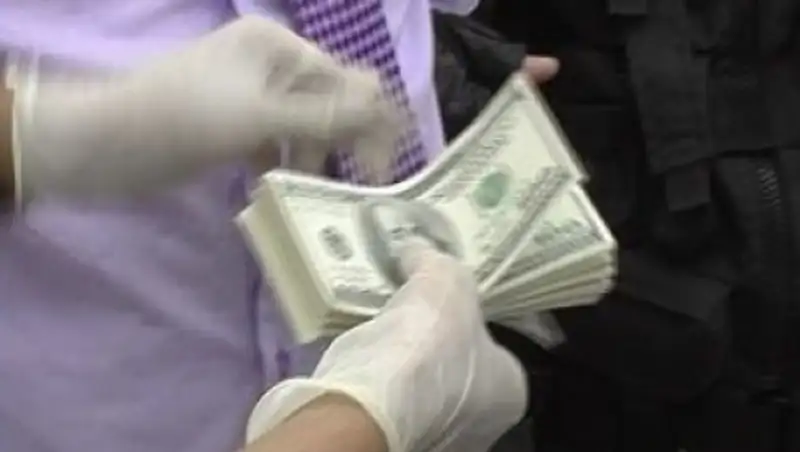 Глава Баянаульского нацпарка задержан с поличным на взятке в Павлодарской области