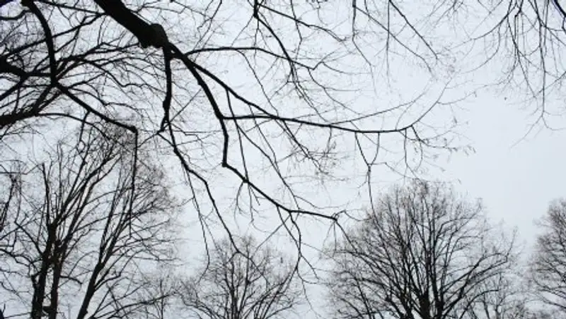 На выходные синоптики прогнозируют на юге и юго-востоке РК пасмурную погоду с осадками 