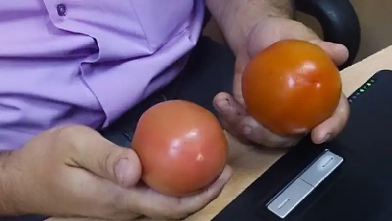 В Турции мужчина забросал злоумышленника томатами