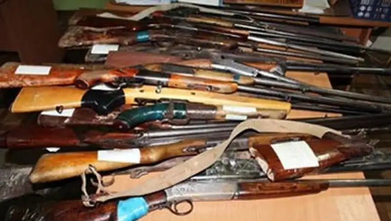 В Алматинской области за 3 дня изъято из незаконного оборота 33 единицы оружия
