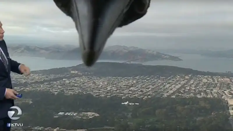 В США ворона сорвала прогноз погоды и прославилась в соцсетях