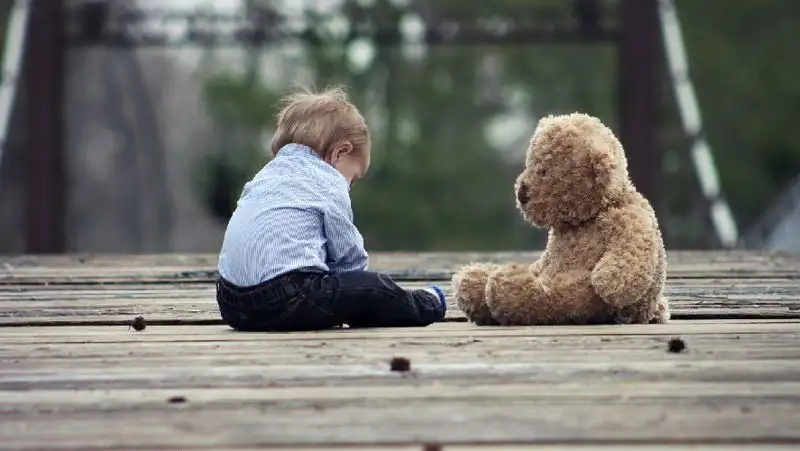 В СКО санврачи обнаружили опасные игрушки