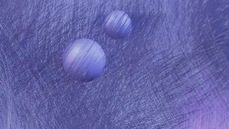 Объявлен главный цвет 2022 года