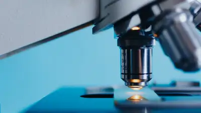 Pixabay, фото - Новости Zakon.kz от 17.07.2020 01:14