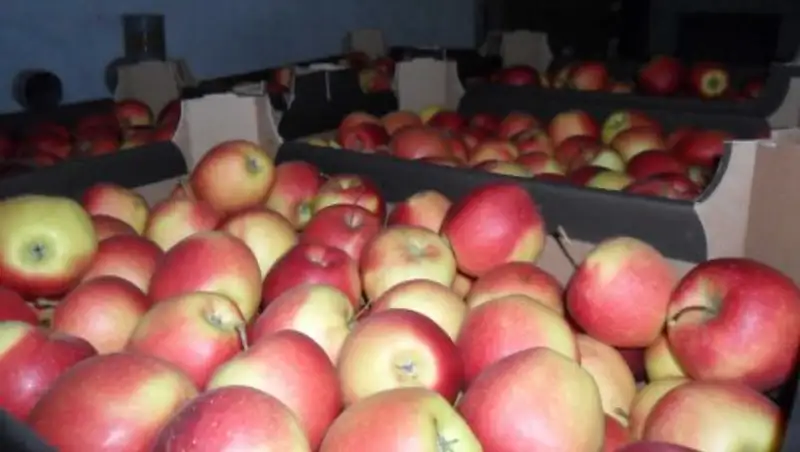 В Новосибирской области задержали казахстанскую продукцию